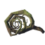 Root