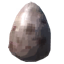 Volture Egg
