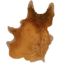 Deer Hide