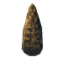 Fir Cone
