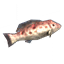 Grouper