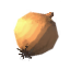 Onion