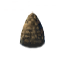 Pine Cone