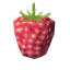Raspberries