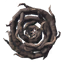 Shield of Roots