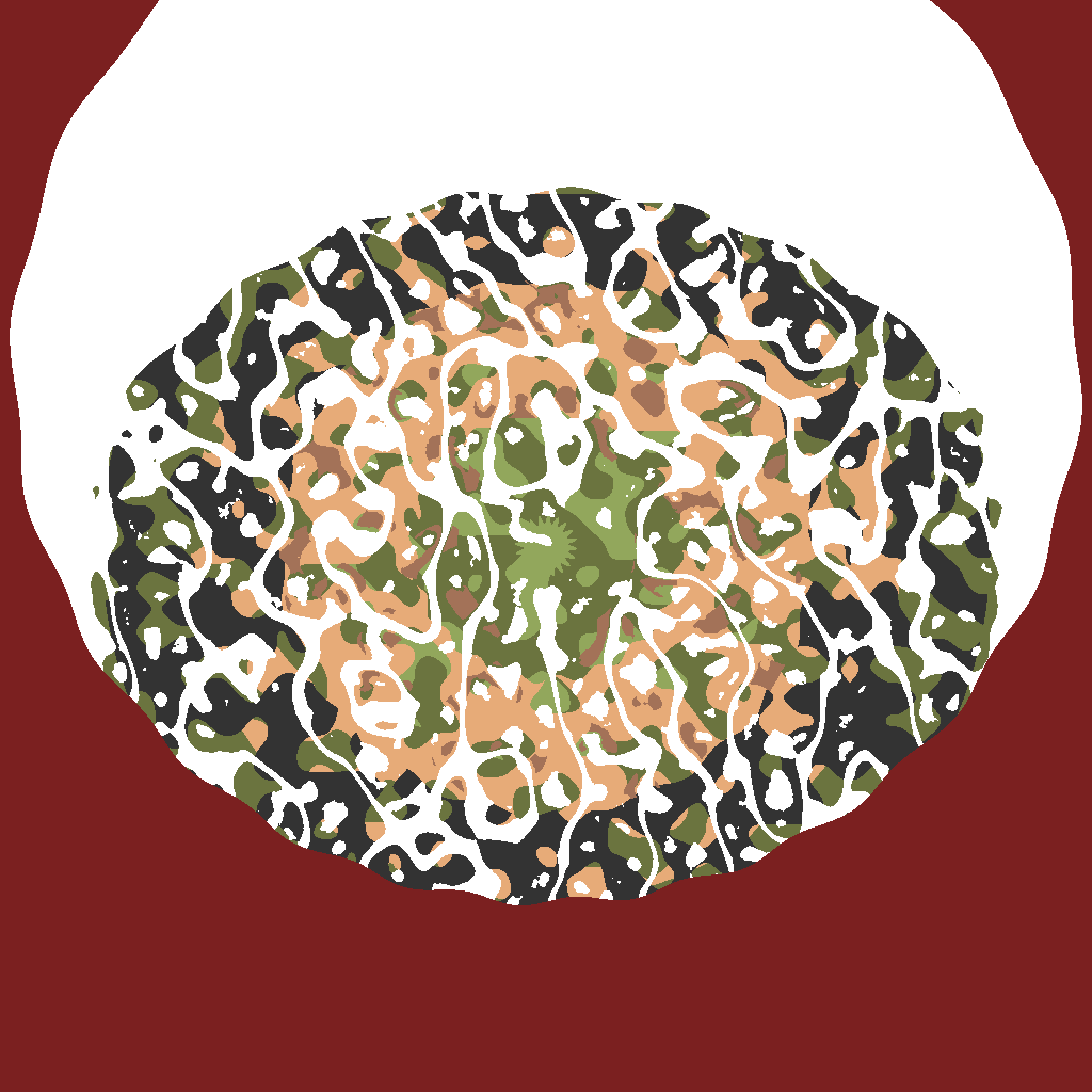 mY SEED — Valheim world map