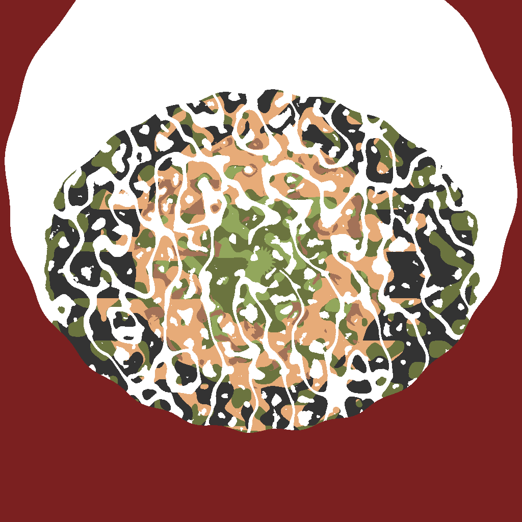 Todo's server Seed — Valheim world map