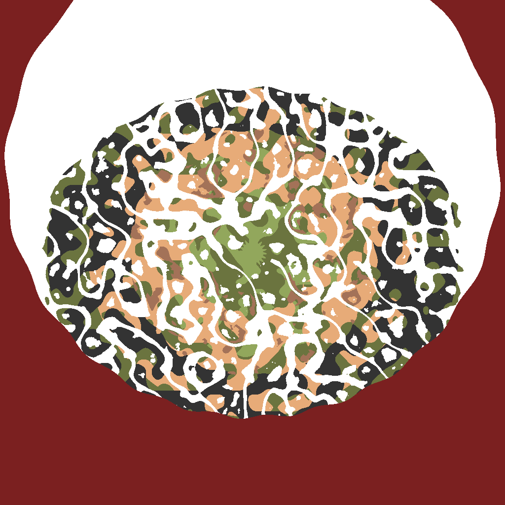 Aesthetics — Valheim world map