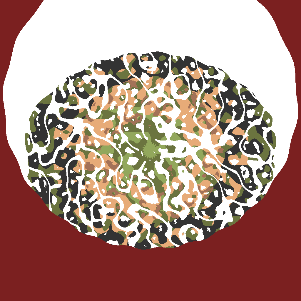 FPi — Valheim world map