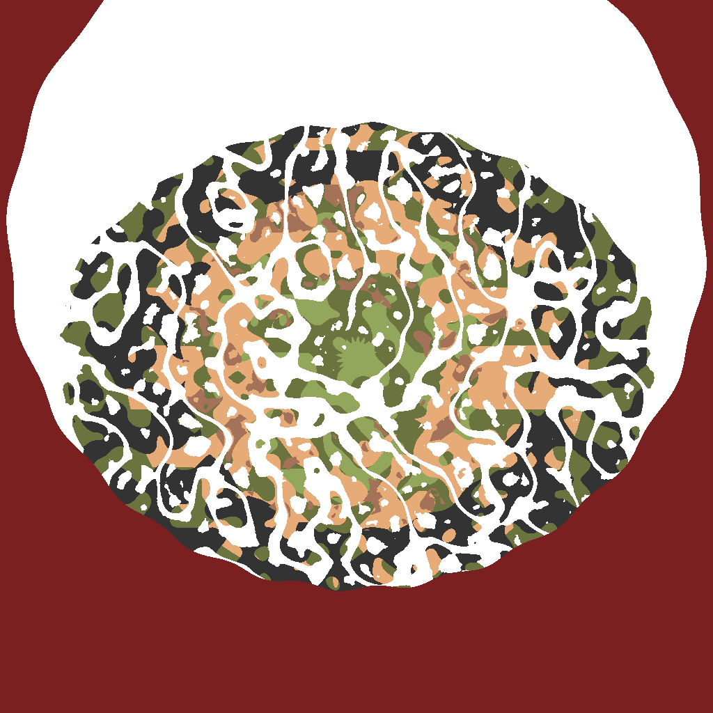czynnik abiotyczny — Valheim world map
