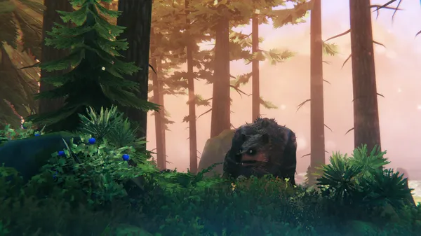 Um urso agachado na vegetação rasteira da Floresta Negra ao amanhecer, com um personagem do Valheim visível ao fundo
